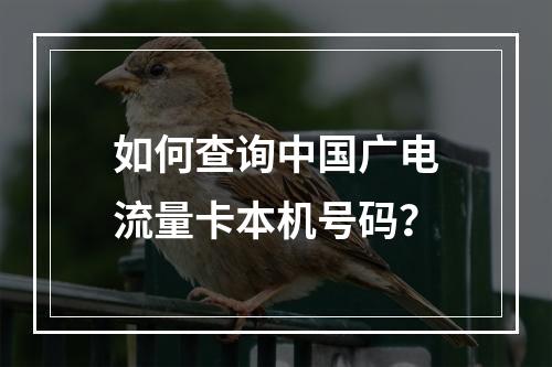 如何查询中国广电流量卡本机号码？