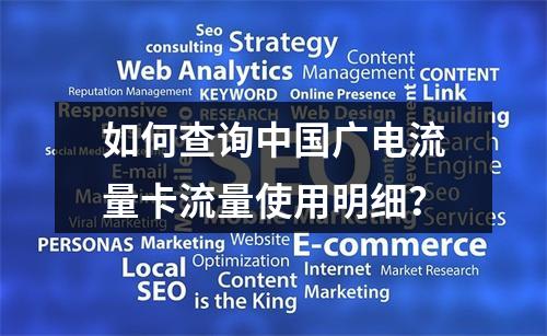 如何查询中国广电流量卡流量使用明细？