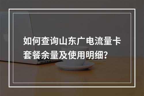 如何查询山东广电流量卡套餐余量及使用明细？