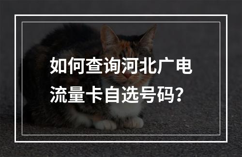 如何查询河北广电流量卡自选号码？
