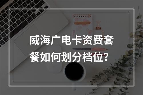 威海广电卡资费套餐如何划分档位？