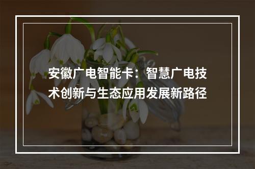 安徽广电智能卡：智慧广电技术创新与生态应用发展新路径