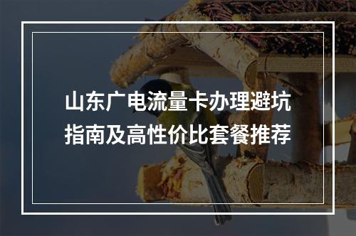山东广电流量卡办理避坑指南及高性价比套餐推荐