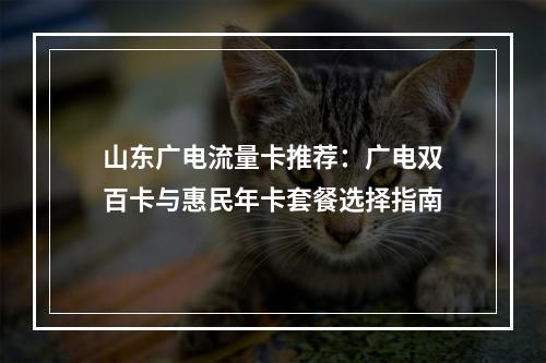 山东广电流量卡推荐：广电双百卡与惠民年卡套餐选择指南