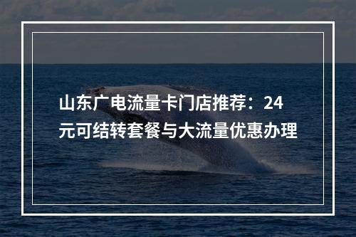 山东广电流量卡门店推荐：24元可结转套餐与大流量优惠办理