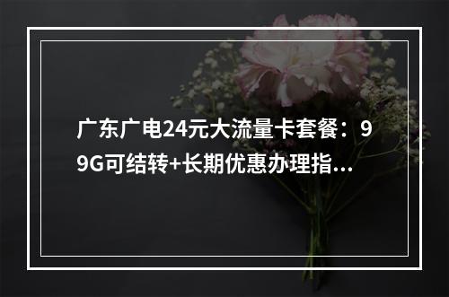 广东广电24元大流量卡套餐：99G可结转+长期优惠办理指南