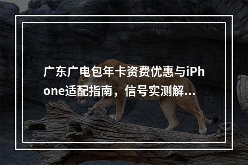 广东广电包年卡资费优惠与iPhone适配指南，信号实测解析
