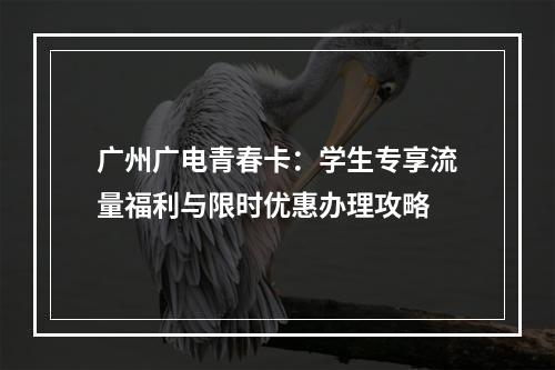 广州广电青春卡：学生专享流量福利与限时优惠办理攻略