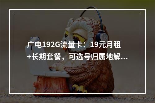 广电192G流量卡：19元月租+长期套餐，可选号归属地解析