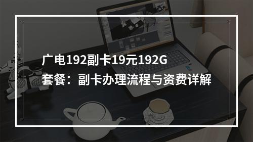 广电192副卡19元192G套餐：副卡办理流程与资费详解