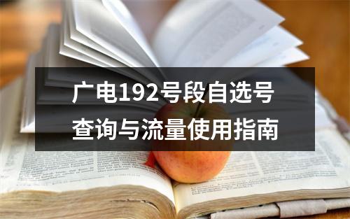 广电192号段自选号查询与流量使用指南