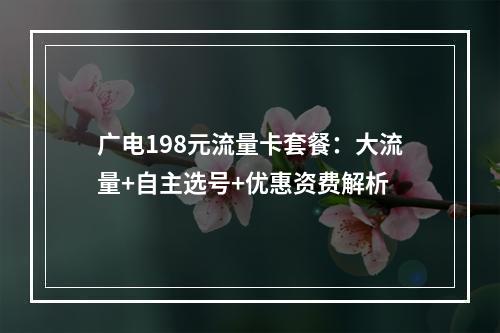 广电198元流量卡套餐：大流量+自主选号+优惠资费解析