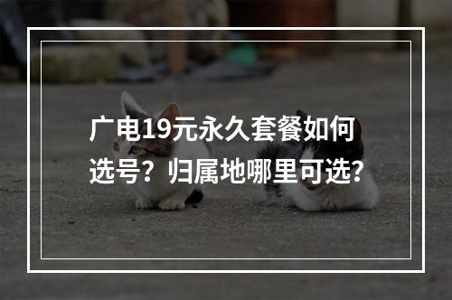 广电19元永久套餐如何选号？归属地哪里可选？