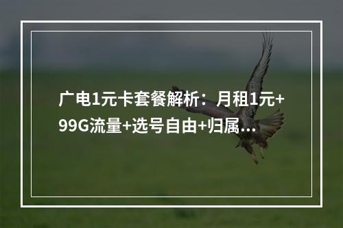 广电1元卡套餐解析：月租1元+99G流量+选号自由+归属地自选
