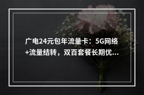 广电24元包年流量卡：5G网络+流量结转，双百套餐长期优惠