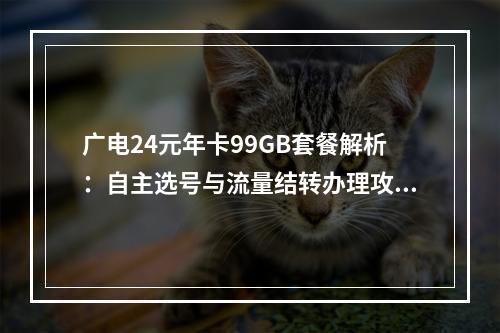 广电24元年卡99GB套餐解析：自主选号与流量结转办理攻略
