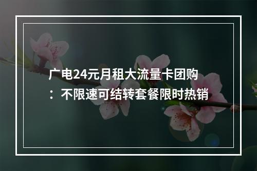 广电24元月租大流量卡团购：不限速可结转套餐限时热销