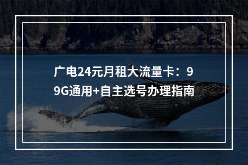 广电24元月租大流量卡：99G通用+自主选号办理指南