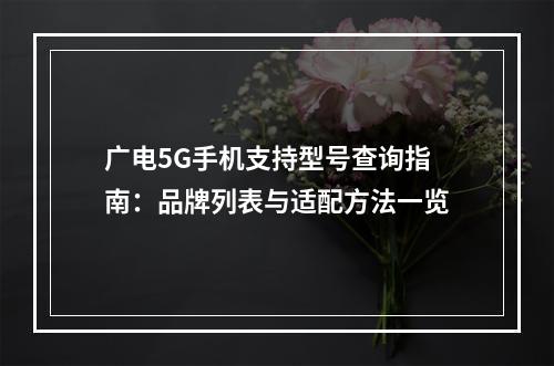 广电5G手机支持型号查询指南：品牌列表与适配方法一览