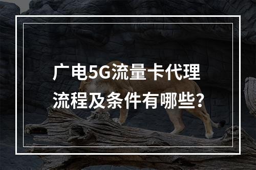 广电5G流量卡代理流程及条件有哪些？