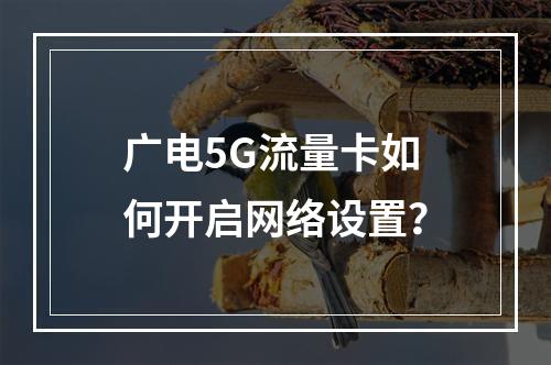 广电5G流量卡如何开启网络设置？
