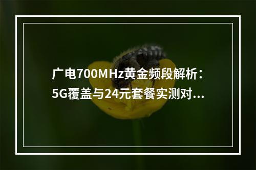 广电700MHz黄金频段解析：5G覆盖与24元套餐实测对比