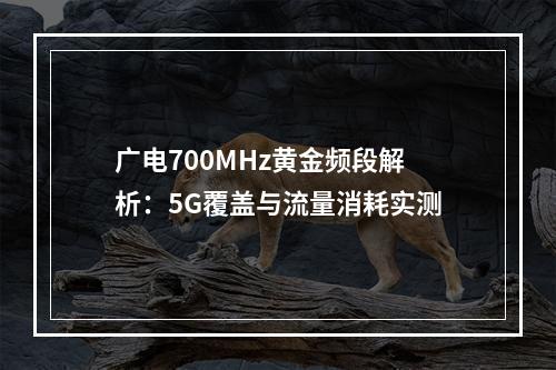 广电700MHz黄金频段解析：5G覆盖与流量消耗实测