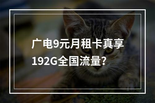 广电9元月租卡真享192G全国流量？
