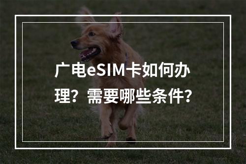 广电eSIM卡如何办理？需要哪些条件？