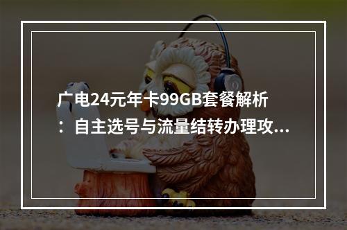 广电24元年卡99GB套餐解析：自主选号与流量结转办理攻略