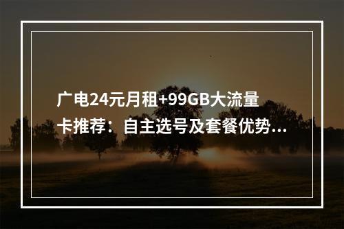 广电24元月租+99GB大流量卡推荐：自主选号及套餐优势解析