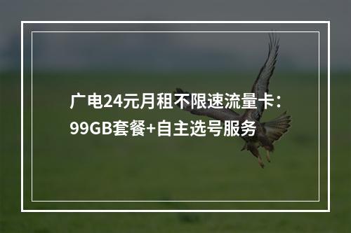 广电24元月租不限速流量卡：99GB套餐+自主选号服务