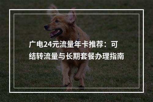 广电24元流量年卡推荐：可结转流量与长期套餐办理指南
