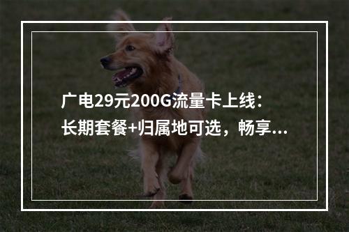 广电29元200G流量卡上线：长期套餐+归属地可选，畅享自由
