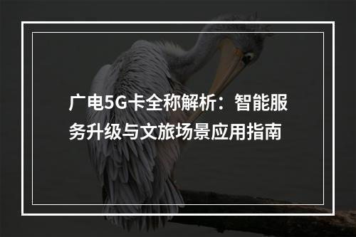 广电5G卡全称解析：智能服务升级与文旅场景应用指南