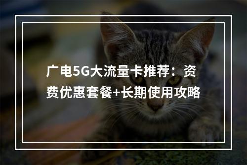 广电5G大流量卡推荐：资费优惠套餐+长期使用攻略