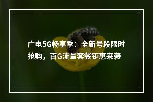 广电5G畅享季：全新号段限时抢购，百G流量套餐钜惠来袭