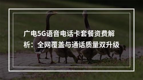 广电5G语音电话卡套餐资费解析：全网覆盖与通话质量双升级