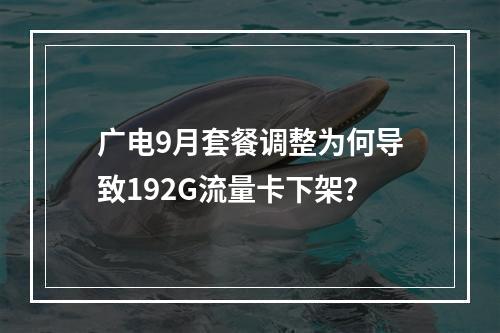 广电9月套餐调整为何导致192G流量卡下架？