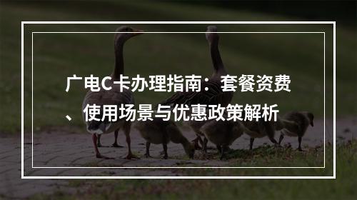 广电C卡办理指南：套餐资费、使用场景与优惠政策解析