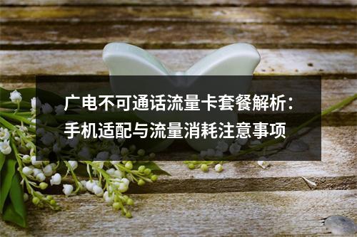 广电不可通话流量卡套餐解析：手机适配与流量消耗注意事项