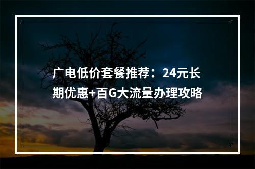 广电低价套餐推荐：24元长期优惠+百G大流量办理攻略