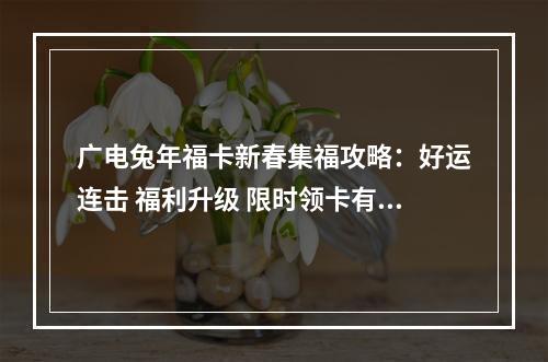广电兔年福卡新春集福攻略：好运连击 福利升级 限时领卡有礼