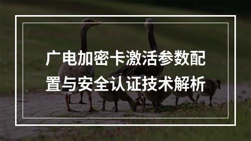 广电加密卡激活参数配置与安全认证技术解析