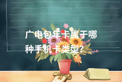广电包年卡属于哪种手机卡类型？