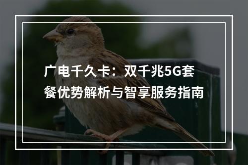 广电千久卡：双千兆5G套餐优势解析与智享服务指南