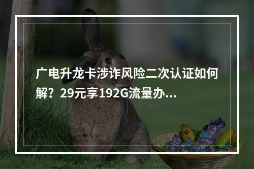 广电升龙卡涉诈风险二次认证如何解？29元享192G流量办理攻略