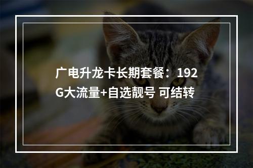 广电升龙卡长期套餐：192G大流量+自选靓号 可结转