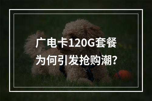 广电卡120G套餐为何引发抢购潮？