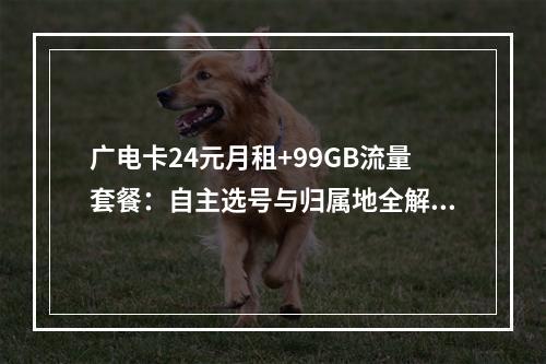 广电卡24元月租+99GB流量套餐：自主选号与归属地全解析